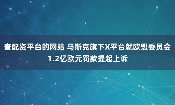 查配资平台的网站 马斯克旗下X平台就欧盟委员会1.2亿欧元罚款提起上诉