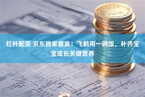 杠杆配资 京东独家首发！飞鹤用一碗饭，补齐宝宝成长关键营养